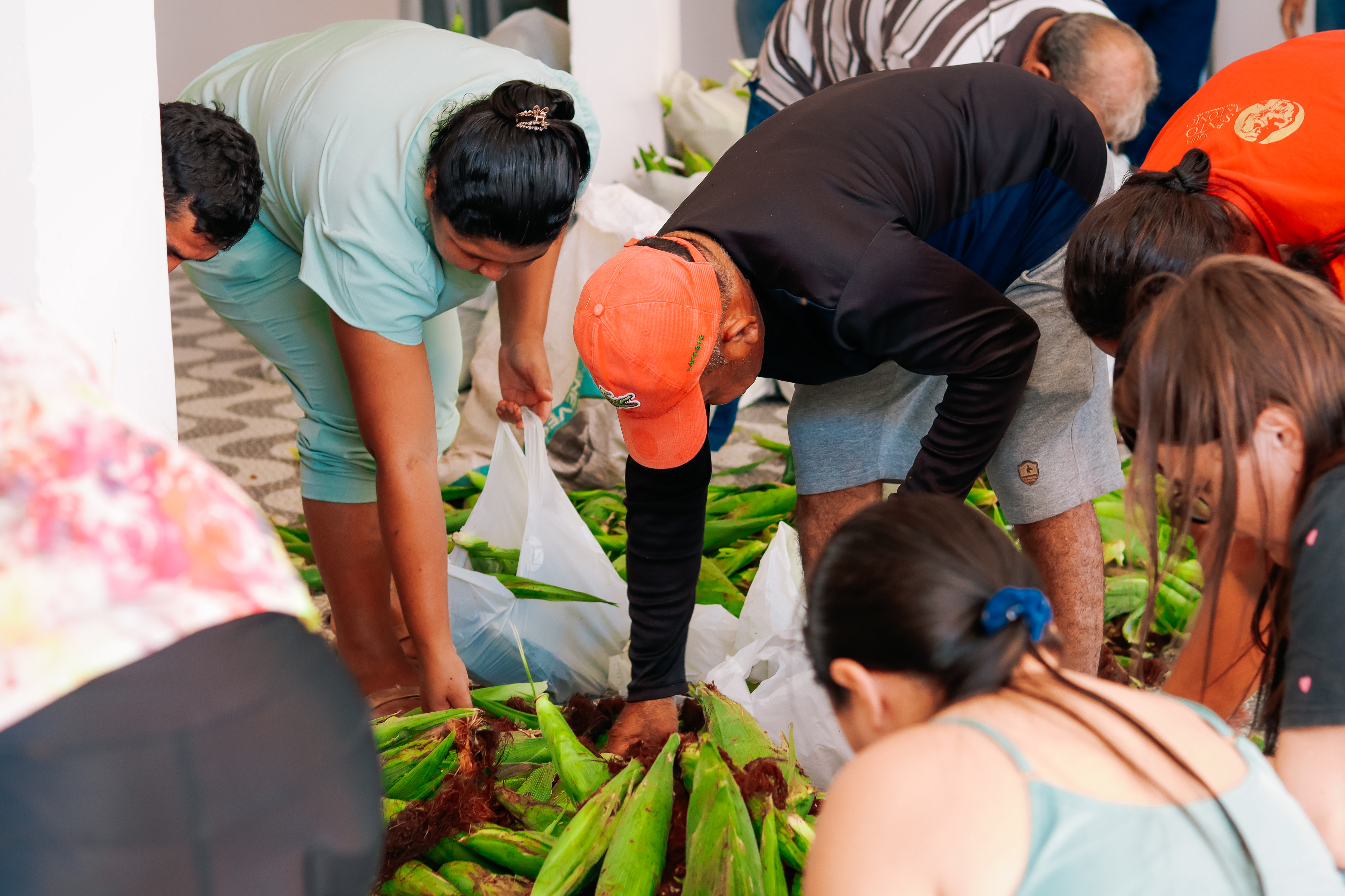 Prefeitura de Alhandra fortalece agricultura familiar e distribui mais de 2,5 toneladas de milho verde a moradores de Mata Redonda 