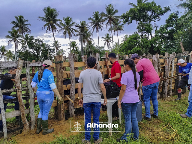 Alhandra e CONAFER iniciam 3º etapa do Programa de melhoramento genético do rebanho de produtoras rurais do município 